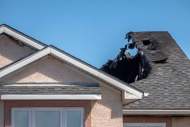 Top rated local Fire Damage Removal specialists in Rosedale, WA